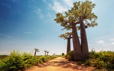 Private Rundreise: Geheimnisse der Casamance mit möglicher Verlängerung