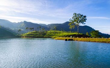 Private Rundreise: Marriott Hotel Al Jaddaf Dubai 5* & Sri Lankas wundervolle Schönheit