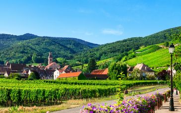 Les Appartements Husseren Collections