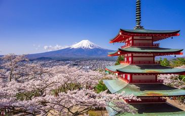 Rundreise in Eigenregie: Highlights im Land der aufgehenden Sonne & Seoul