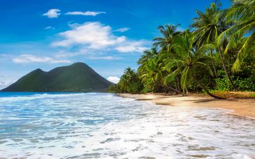 Le Domaine de la Palmeraie