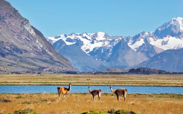 Rundreise in Eigenregie: Argentiniens Weinberge, Seen und Wasserfälle & optional Patagonien
