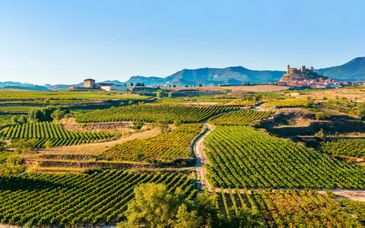 Autotour: Der Norden Spaniens und seine Weinregionen