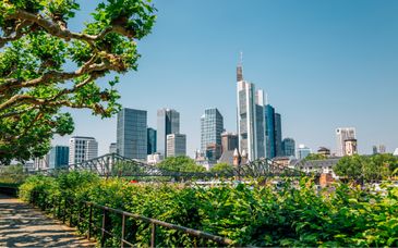 Kimpton Main Frankfurt 5* by IHG