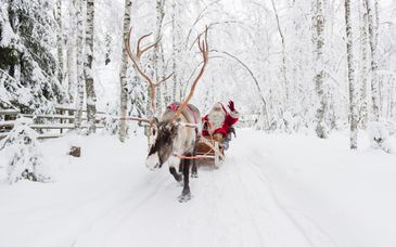 4 Nächte: Unvergessliche Weihnachten in Lappland