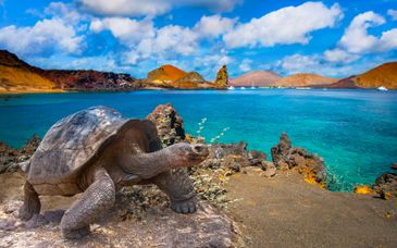 Private Rundreise: Luxuriöser Aufenthalt mit Kreuzfahrt auf der Legend Cruise