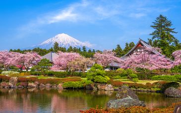 Rundreise in Eigenregie: Mystisches Japan