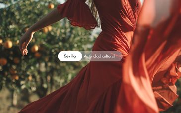 Descubre Sevilla con estancia en el Hotel San Gil 4* 