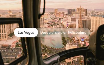 Hotel Circa Las Vegas 4* - Solo Adultos