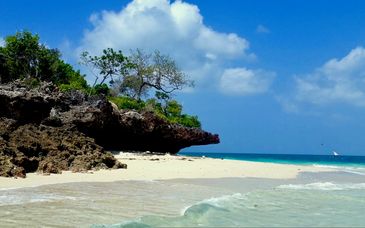 The Soul Zanzibar Beach Hotel & Spa 4* con safari en la reserva de Selous