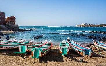 Circuito en grupo o privado: Ecotour Senegal Auténtico en 7 noches