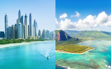 Combinado Anelia Resort & Spa 4* y Hyatt Regency Dubaï Creek Heights 5*