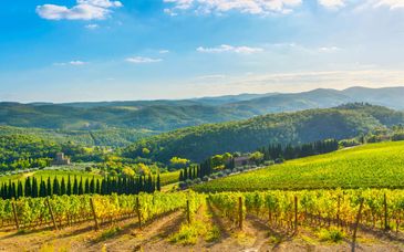 Autotour por los tesoros toscanos y Roma en 5 noches