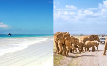 Safari de 3, 5 o 7 noches y estancia en Pinewood Beach Resort 4*