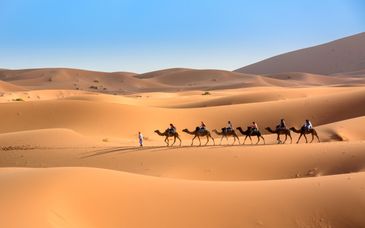 Circuito en grupo: Puertas del desierto en 7 noches