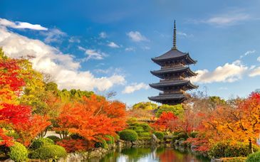 Circuito en libertad: el corazón de Japón en 9, 12 o 14 noches con extensión opcional en Koyasan