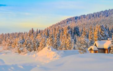 Séjour multi-activités : Laponie avec excursions incluses