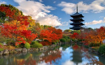 Circuit en liberté : Les essentiels du Japon