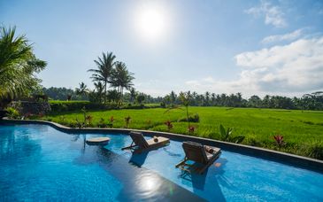 Beehouse Dijiwa Ubud 4*, Qunci Villas Resort 5* et The Seminyak Suite Private Villa 4*