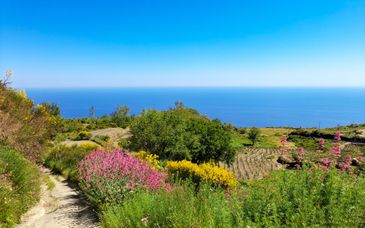 Circuit en liberté : Echappée bien-être à Ischia