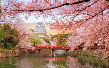 Circuit en liberté : Le Japon avec visites en français