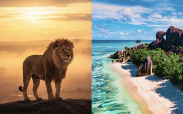 Safari privé au Kenya et séjour au Story Seychelles 5*