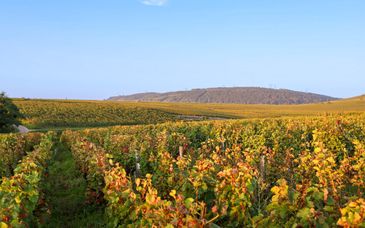 Hôtel Bellevigne Bourgogne 4*