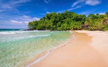 Circuit en liberté : du Canal aux Caraïbes