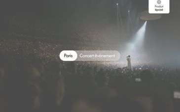 Concert de Céline Dion et séjour au Pullman Paris La Defense 5*