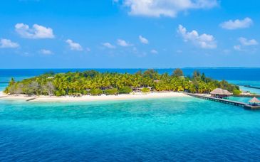 Taj Coral Reef Resort & Spa 5*