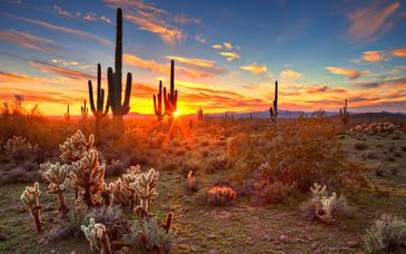 Road-trip en 4* : Des côtes californiennes aux déserts de l'Arizona