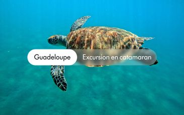 Séjour et expérience, en hôtel 4*