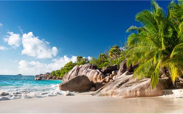 Hôtel Bliss Praslin 4*