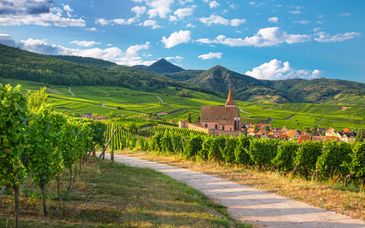 Best Western Plus Hotel & Spa - Le Schoenenbourg 4* et Hôtel Bellevigne Bourgogne 4*