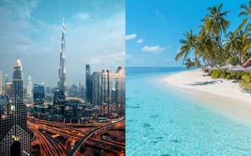 Hôtels 5* : Hôtel Hyatt Regency Dubai Creek Heights et Hôtel Brennia Kottefaru Maldives