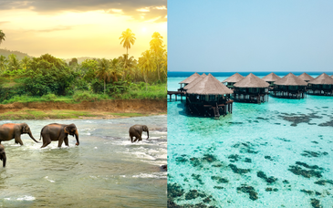 Safari en 4 nuits au Sri Lanka avec extension au Kihaa Maldives Resort & Spa 5*