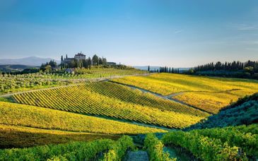 Circuit en liberté : Merveilles de l'Italie entre vignes et oliviers