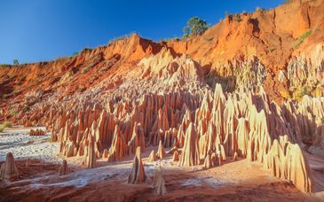 Circuit privé : Madagascar entre Tsingys et lagon avec guide