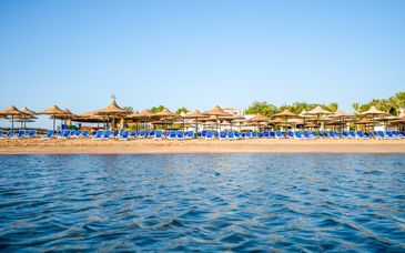 Ivy Cyrene Sharm Resort 4*