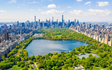 Ace Hotel New York 4*