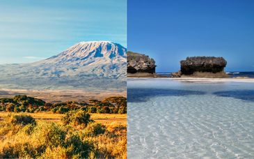 Safari : Évasions majestueuses kenyannes et extension à l'Ocean Beach 5*
