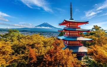 Circuit en liberté : Découvertes incontournables au cœur du Japon