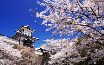 Tour privato: Alla scoperta del Giappone in famiglia