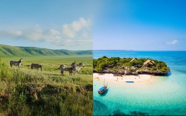 Safari in Tanzania e soggiorno al Sea Cliff Resort & Spa 5*