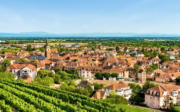 Hôtel le Colombier Obernai 4*