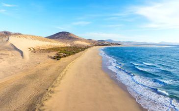 Fergus Cactus Garden 4*