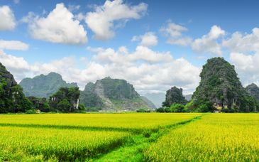 Tour privato: Le meraviglie del Paese con possibile estensione a Mui Ne
