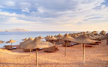 Soggiorno multiattività al JAZ Sharm Dreams 5*