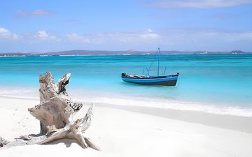 Jacaranda Beach Resort 4* con possibile safari da 1 a 3 notti