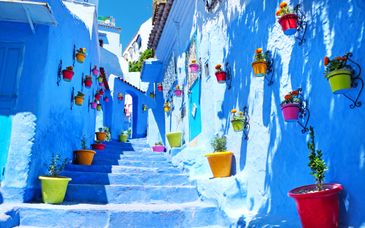 Tour privato: Alla scoperta di Fès e Chefchaouen 
